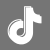 tiktok icon